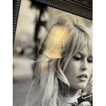 Seinäkuva brigitte kameransa kanssa (mikä tahansa kuva) 50x60 kauneusvirheillä