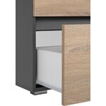 Brown-gray washbasin cabinet (wisla)