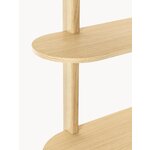 Brown Shelf (Calary)