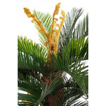 Artificial plant (Cycas) H150