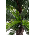 Artificial plant (Cycas) H190