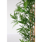 Plant (Bamboo) H185 UV