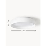 White LED Ceiling Light (Helen)