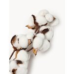 Artificial plant cotton (boltze)