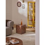 Terracotta coffee table (doug)