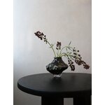 Vase Canyon (Hein Studio)