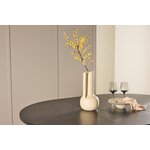 Обеденный стол (Страда)