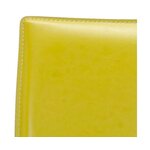 Kollane Tool Caleb (Safavieh)