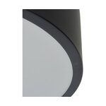 Black ceiling light (none) (incomplete, hall sample)