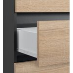Brown-gray cabinet with 2 drawers and 2 doors (wisla)
