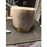 Ruskea samettinen jakkara (orkidea)