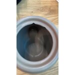 Design storage jar eating rabbit (dbkd) with cosmetic flaws.