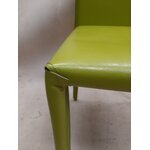 Kollane Tool Caleb (Safavieh)