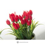 Kunsttaime Komplekt (Tulipanes)