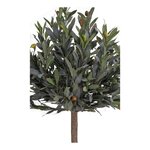 Kunstpuu (Olive Tree)