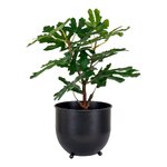 Artificial plant (fig tree)