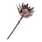 Artificial flowers (king protea)