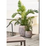 Dirbtinis augalas „Žolė“ („House Nordic“)