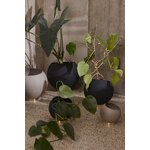 Stādīšanas poda globuss (aytm)