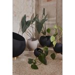 Stādīšanas poda globuss (aytm)