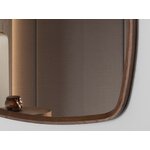 Rudas veidrodis (Angel Cerdá)