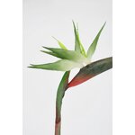 Kunsttaim (Strelitzia Jessye) K98cm