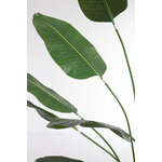 Keinotekoinen kasvi (strelitzia)