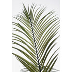 Augalas (Kenzia) H180