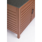 Kitchen module (Aria)