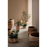 Flowerpot set (minh)