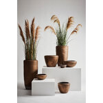 Gėlių vazonas (Pathom) H77