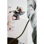 Dekoratyvinis dubuo (Delfa) D36