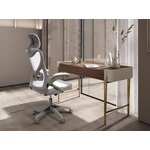 Light gray office chair (angel cerda)