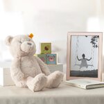 Rožu sudraba krāsas bilžu rāmis 13x18