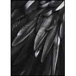 Sienas attēls (melnais spārns) malerifabrikken