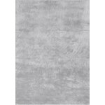 Carpet (canyon) 200x300