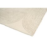 Carpet (ornate) 200x300