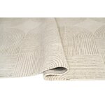 Carpet (ornate) 200x300