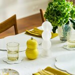 Blāva, caurspīdīga garšvielu dzirnavu spole