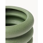 Green Flower Pot (Rudi)