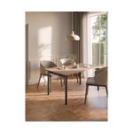 Brown Dining Table (Blue)