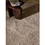 Light Brown Fluffy Rug (Leighton) 200x300