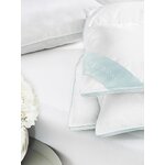 I need more information — “ddd” does not say what category it is or whether it is a model name. Please provide either: - the full product name in the original, for example: Esstisch Mavi, 180x90 cm (ddd)