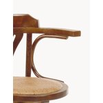 Brūna dizaina masīvkoka atpūtas krēsls (moycor) (vesels, vesels)