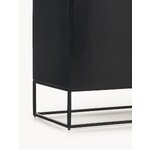Black solid wood cabinet (lyle)