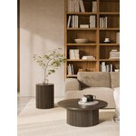 Dark brown coffee table (for them)