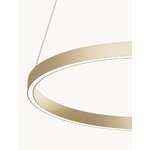 Golden led pendant light rim (maytoni) intact