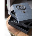 Jewelry box precious (bigso box of)