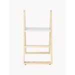 Astmeredel Reech (Gejst)