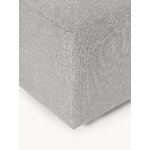 Harmaa samettitumba (melva)